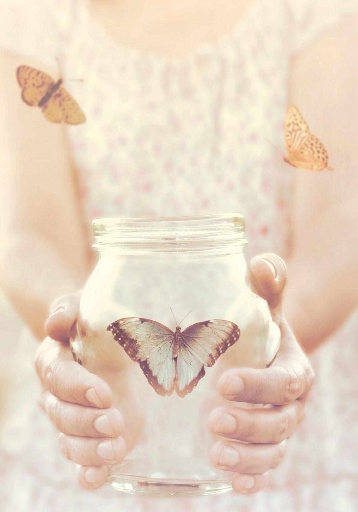 Woman,Gives,Freedom,To,Some,Butterflies,Enclosed,In,A,Glass